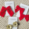 Clips variado para cabello