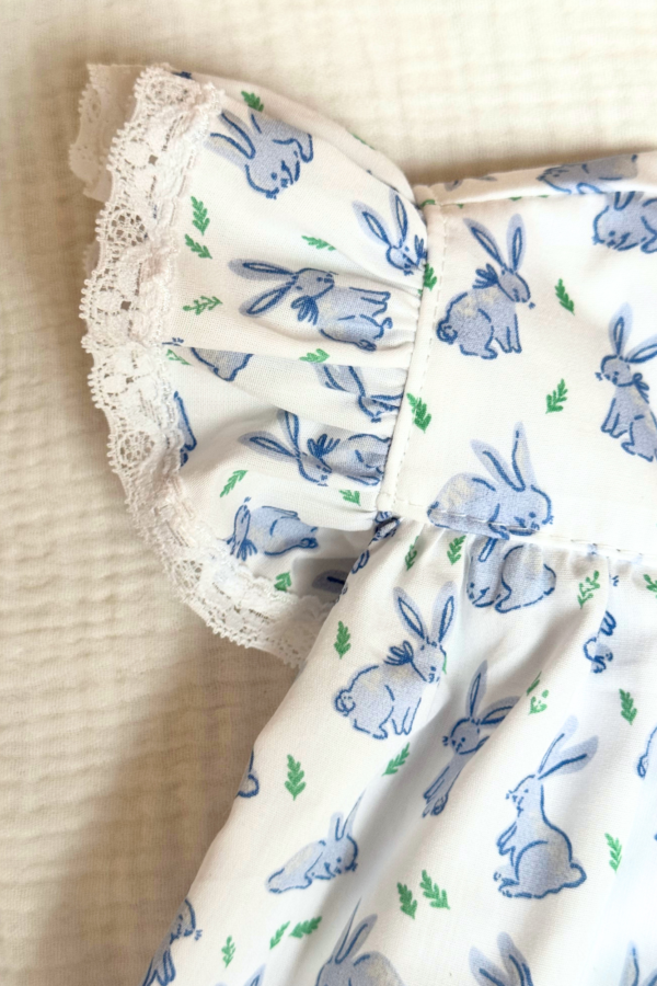 Set Blue Bunny