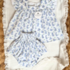 Set Blue Bunny