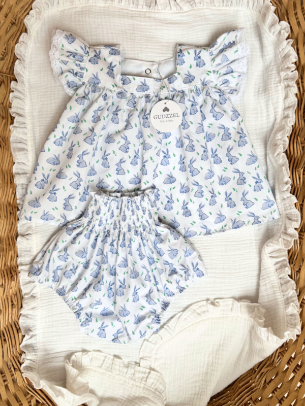 Set Blue Bunny